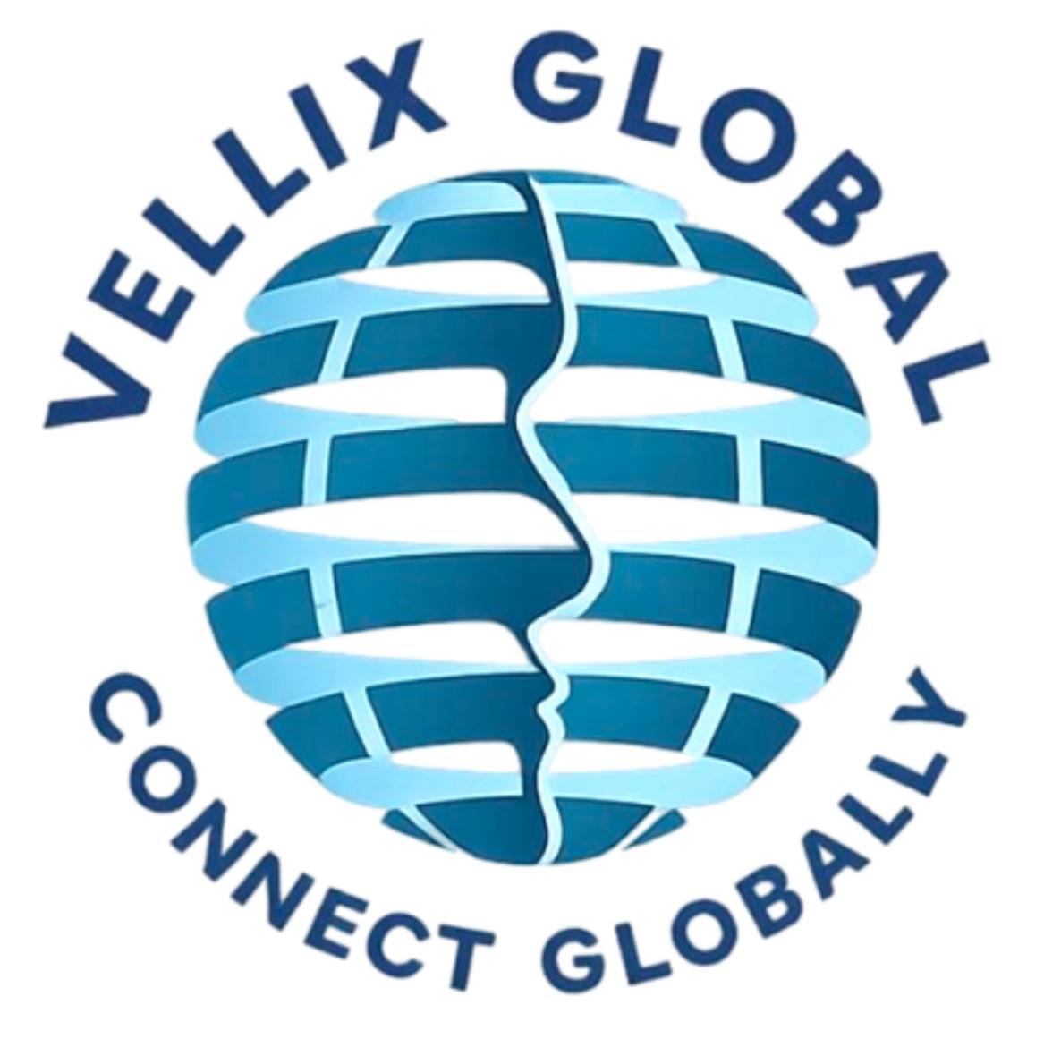 Vellix Point — AI-Powered POS by Vellix Global